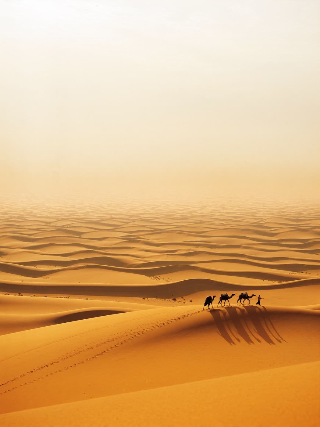 Film photo of Merzouga, Morocco